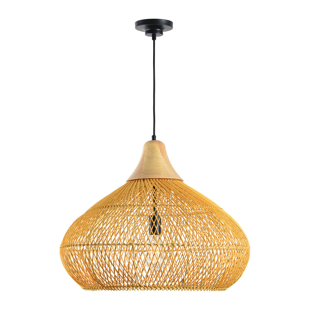 Luminaire suspendus PD101-17.7H23.6D