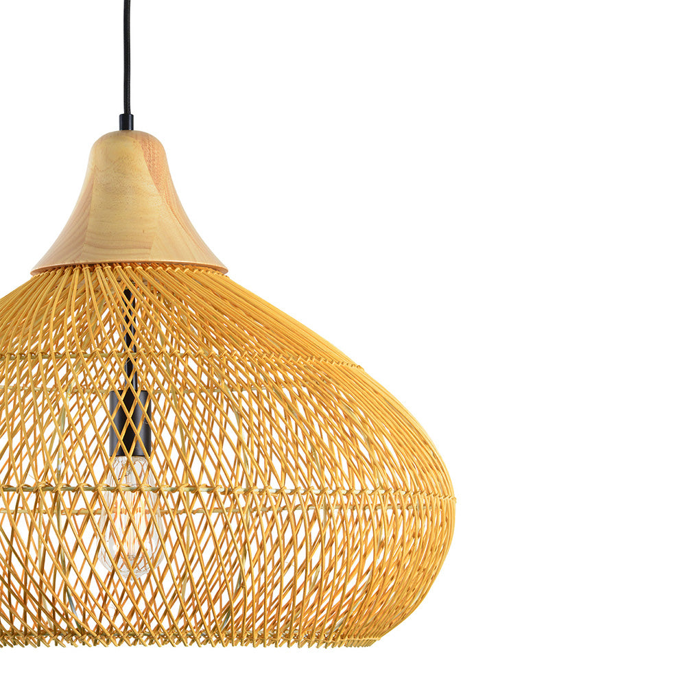 Luminaire suspendus PD101-17.7H23.6D