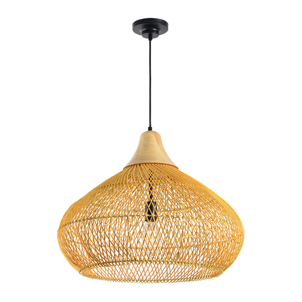 Luminaire suspendus PD101-17.7H23.6D