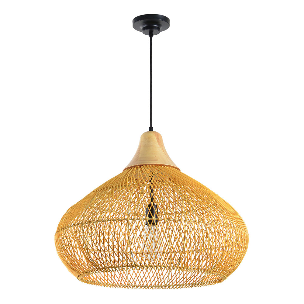 Luminaire suspendus PD101-17.7H23.6D